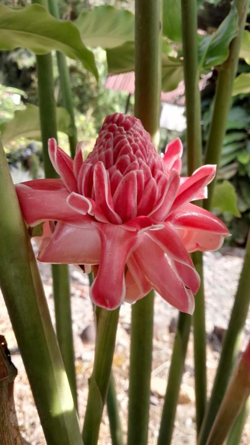 Playaselva Reserva Biologica Archidona المظهر الخارجي الصورة