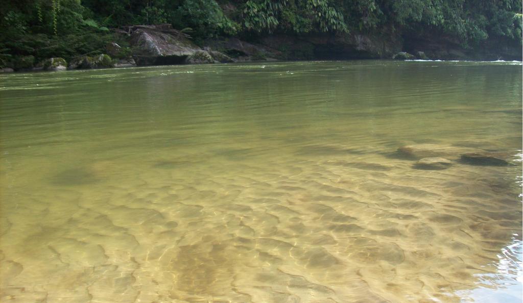 Playaselva Reserva Biologica Archidona المظهر الخارجي الصورة